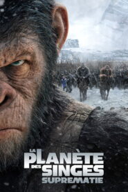 La Planète des singes : Suprématie