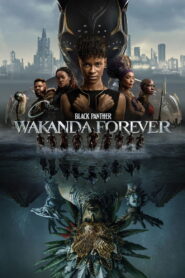 Black Panther : Wakanda Forever