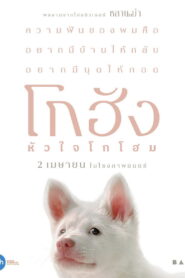 โกฮัง..หัวใจโกโฮม