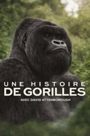 Une histoire de gorilles avec David Attenborough