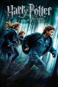 Harry Potter et les Reliques de la Mort – 1ère partie